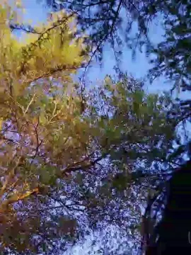 Cam4 Sex Cam of letoile82