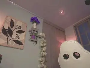 Cam4 Live Sex Cam of Vanesita_novoa