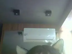 Cam4 Live Porn of SkinnyKittenCam