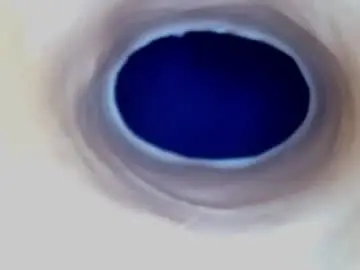 Chaturbate Live Sex Cam of paulainoscente