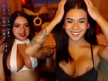 Chaturbate Free Porn Cam of transpornidol