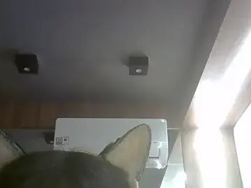 Stripchat Adult Webcam of SkinnyKitten